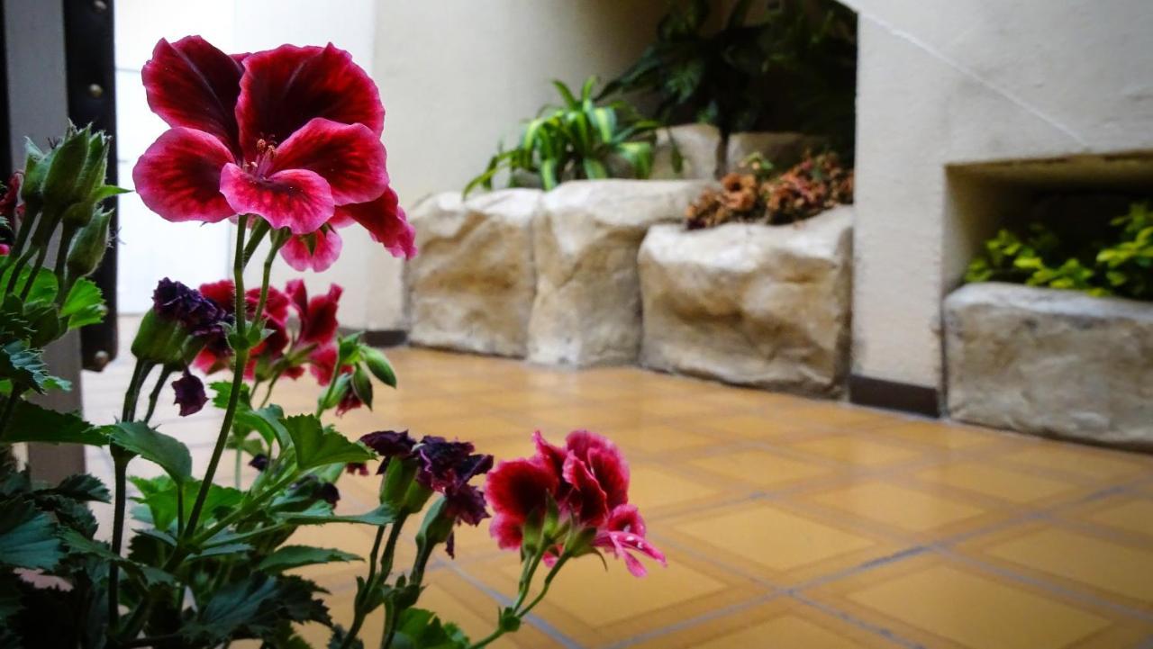 Hotel Mariscal Inn & Suite Cuenca Luaran gambar